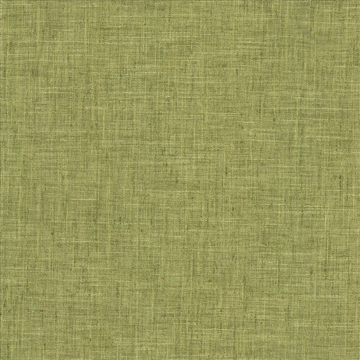 Photo Finish Pesto by Kasmir Fabric 5162 100% Polyester
 INDIA 12,000 Wyzenbeek Double Rubs </p><p>Repeat: Horizontal: N/A and Vertical: N/A 54 - Fabric Carolina -