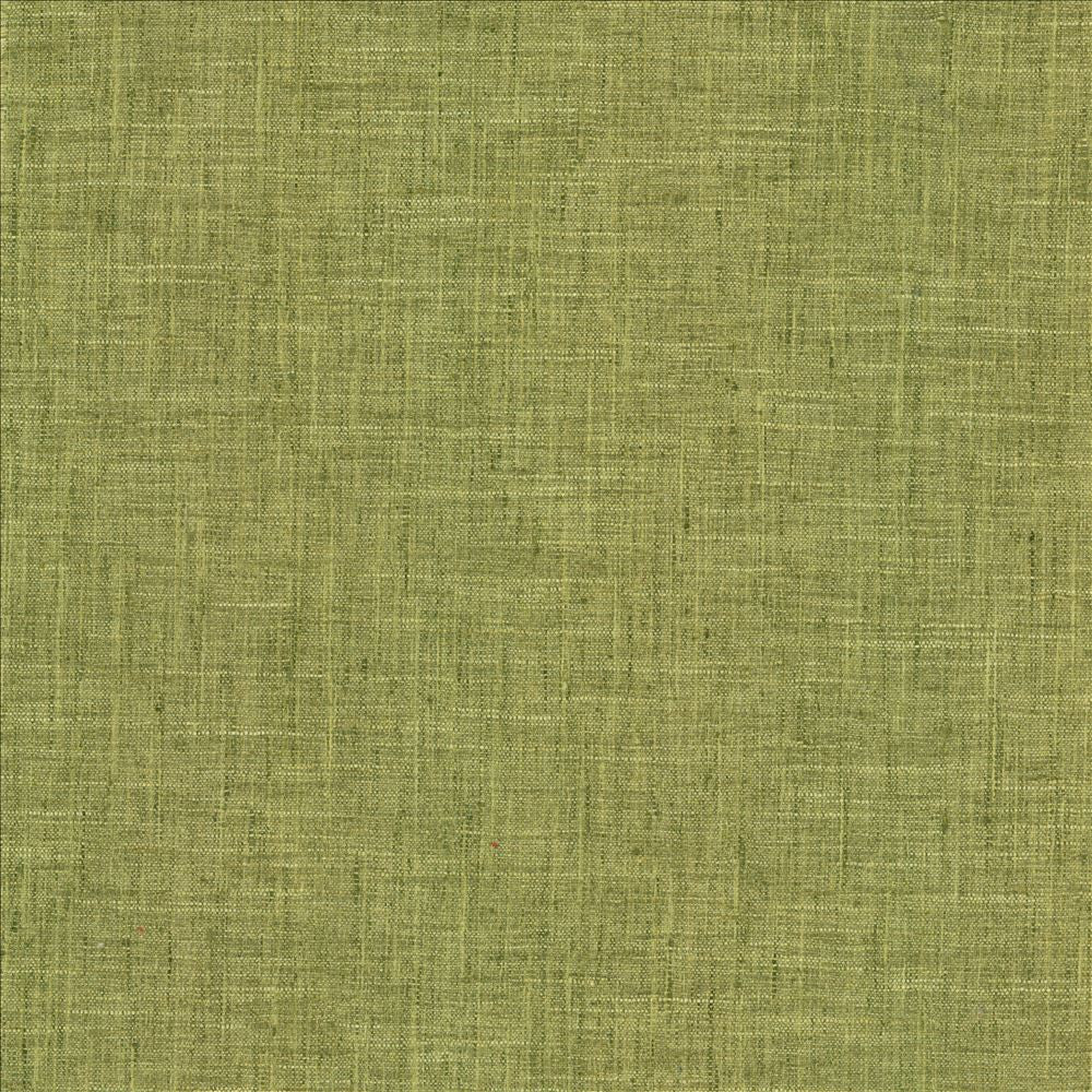 Photo Finish Pesto  by Kasmir Fabric See sample 100% Polyester
 INDIA 12,000 Wyzenbeek Double Rubs </p><p>Repeat: Horizontal: N/A and Vertical: N/A 54  - Fabric Carolina -