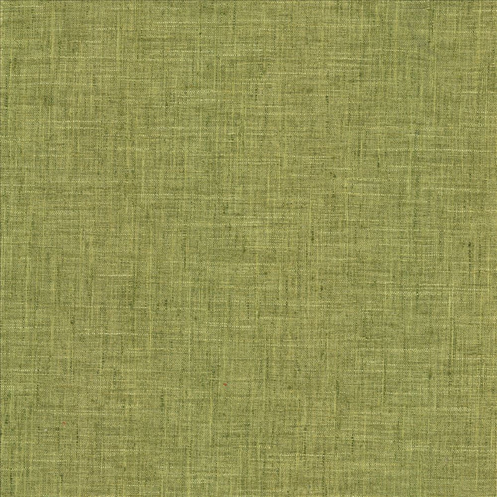Photo Finish Pesto by Kasmir Fabric 5162 100% Polyester
 INDIA </p><p>Repeat: Horizontal: N/A and Vertical: N/A 54 - Fabric Carolina -