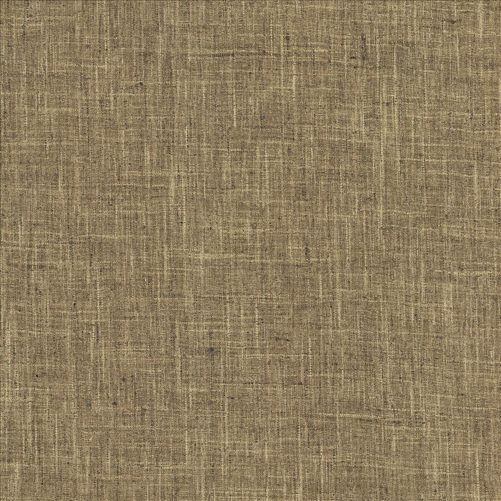 Photo Finish Sepia by Kasmir Fabric 5162 100% Polyester
 INDIA 12,000 Wyzenbeek Double Rubs Horizontal: N/A and Vertical: N/A 54 - Fabric Carolina -