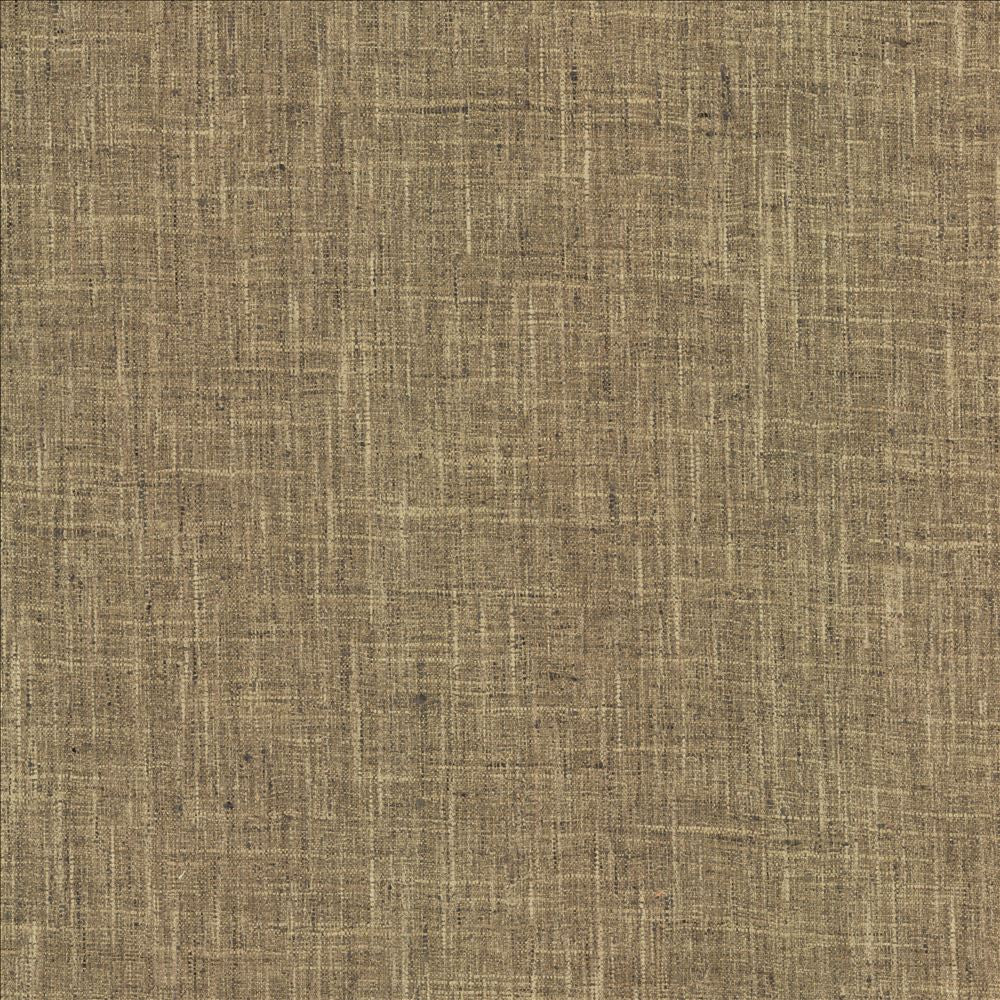Photo Finish Sepia by Kasmir Fabric 5162 100% Polyester
 INDIA 12,000 Wyzenbeek Double Rubs </p><p>Repeat: Horizontal: N/A and Vertical: N/A 54 - Fabric Carolina -