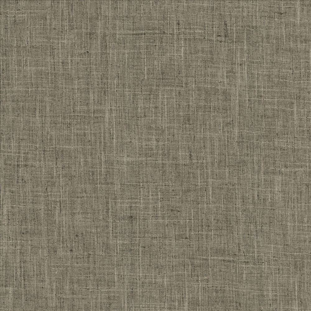 Photo Finish Shale by Kasmir Fabric 5162 100% Polyester
 INDIA 12,000 Wyzenbeek Double Rubs </p><p>Repeat: Horizontal: N/A and Vertical: N/A 54 - Fabric Carolina -