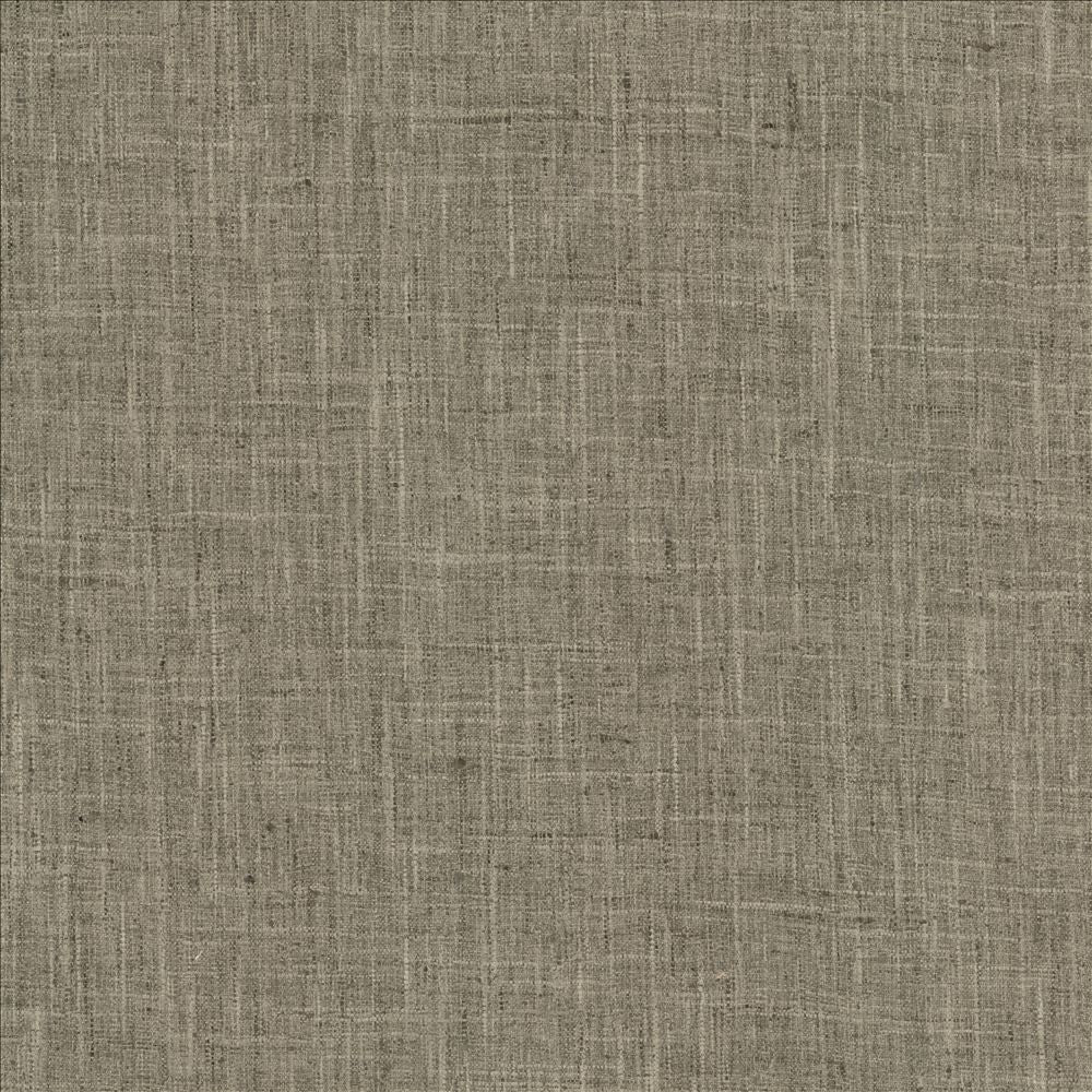 Photo Finish Shale  by Kasmir Fabric See sample 100% Polyester
 INDIA 12,000 Wyzenbeek Double Rubs </p><p>Repeat: Horizontal: N/A and Vertical: N/A 54  - Fabric Carolina -