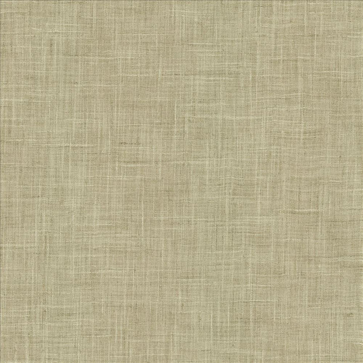 Photo Finish Zinc by Kasmir Fabric 5162 100% Polyester
 INDIA 12,000 Wyzenbeek Double Rubs </p><p>Repeat: Horizontal: N/A and Vertical: N/A 54 - Fabric Carolina -