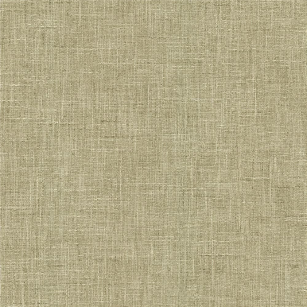 Photo Finish Zinc by Kasmir Fabric 5162 100% Polyester
 INDIA </p><p>Repeat: Horizontal: N/A and Vertical: N/A 54 - Fabric Carolina -