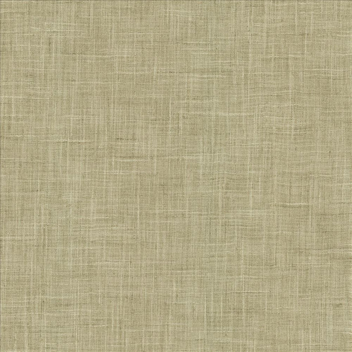 Photo Finish Zinc by Kasmir Fabric 5162 100% Polyester
 INDIA </p><p>Repeat: Horizontal: N/A and Vertical: N/A 54 - Fabric Carolina -