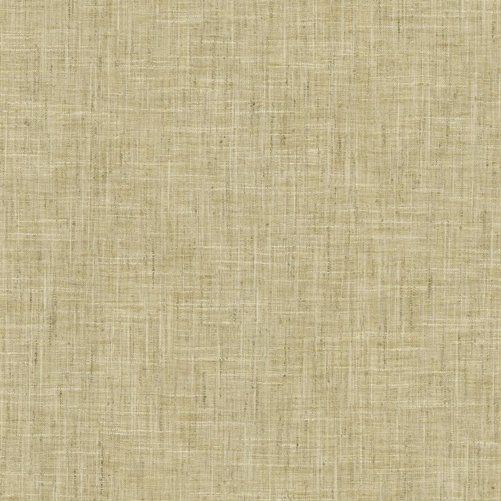 Photo Finish Flannel by Kasmir Fabric 5162 100% Polyester
 INDIA </p><p>Repeat: Horizontal: N/A and Vertical: N/A 54 - Fabric Carolina -