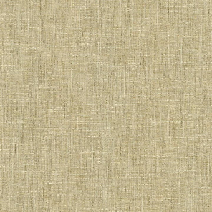 Photo Finish Flannel by Kasmir Fabric 5162 100% Polyester
 INDIA </p><p>Repeat: Horizontal: N/A and Vertical: N/A 54 - Fabric Carolina -