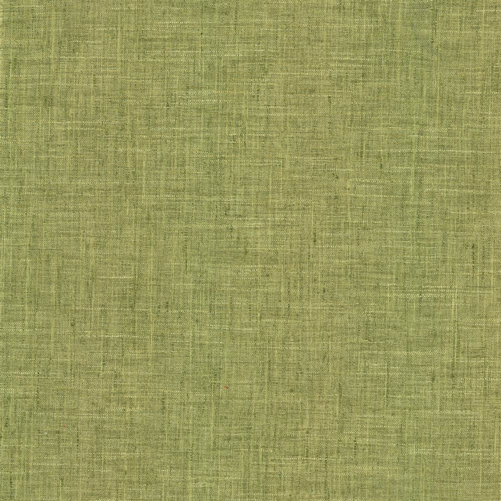 Photo Finish Pesto by Kasmir Fabric 5162 100% Polyester
 INDIA </p><p>Repeat: Horizontal: N/A and Vertical: N/A 54 - Fabric Carolina -
