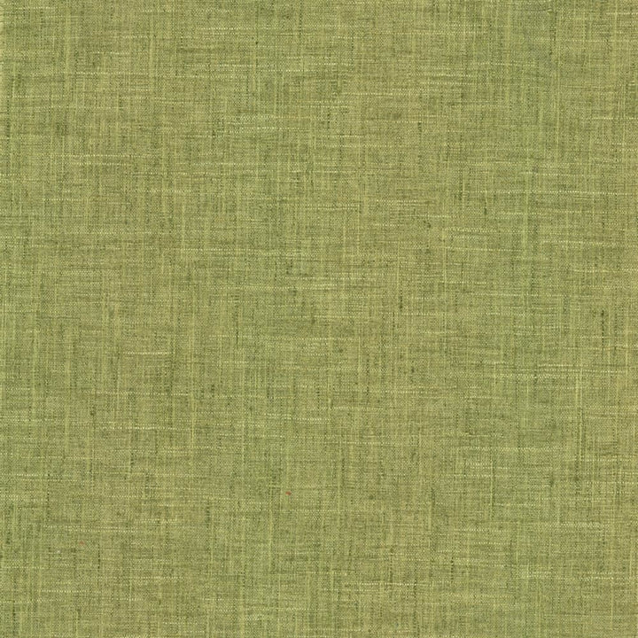 Photo Finish Pesto by Kasmir Fabric 5162 100% Polyester
 INDIA </p><p>Repeat: Horizontal: N/A and Vertical: N/A 54 - Fabric Carolina -