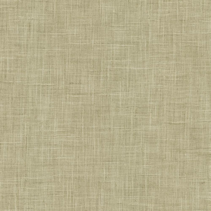 Photo Finish Zinc by Kasmir Fabric 5162 100% Polyester
 INDIA </p><p>Repeat: Horizontal: N/A and Vertical: N/A 54 - Fabric Carolina -
