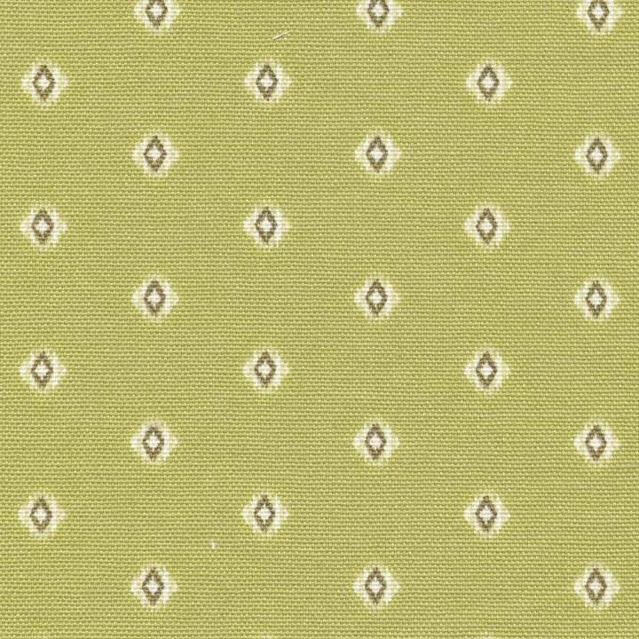 Pica Pistachio by Kasmir Fabric 1391 KOREA 12,000 Wyzenbeek Double Rubs H: 1 4/8 inches, V:1 inches 54 - 55 - Fabric Carolina - Kasmir