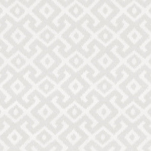 Picardie Ikat Natural by Kasmir Fabric