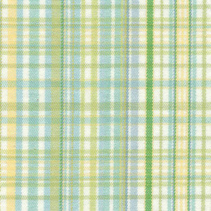 Pickwick Plaid Cabana by Kasmir Fabric