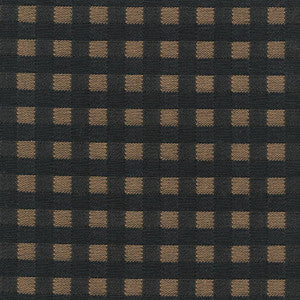 Picnic Black Walnut by Kasmir Fabric