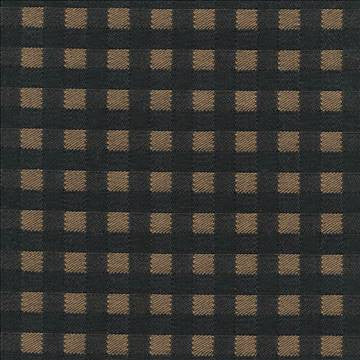 Picnic Black Walnut by Kasmir Fabric 1369 100% Cotton USA 3,000 Wyzenbeek Double Rubs H: 6/8 inches, V: 6/8 inches 54 - Fabric Carolina - Kasmir