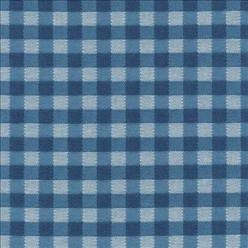Picnic Blueberry by Kasmir Fabric 1368 100% Cotton USA 3,000 Wyzenbeek Double Rubs H: 6/8 inches, V: 6/8 inches 54 - Fabric Carolina - Kasmir