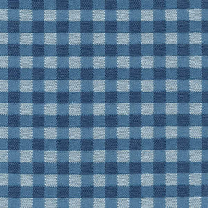 Picnic Blueberry by Kasmir Fabric