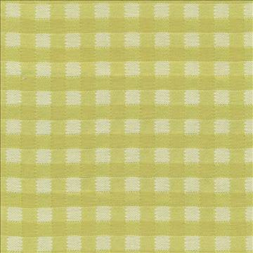 Picnic Kiwi by Kasmir Fabric 1368 100% Cotton USA 3,000 Wyzenbeek Double Rubs H: 6/8 inches, V: 6/8 inches 54 - Fabric Carolina - Kasmir
