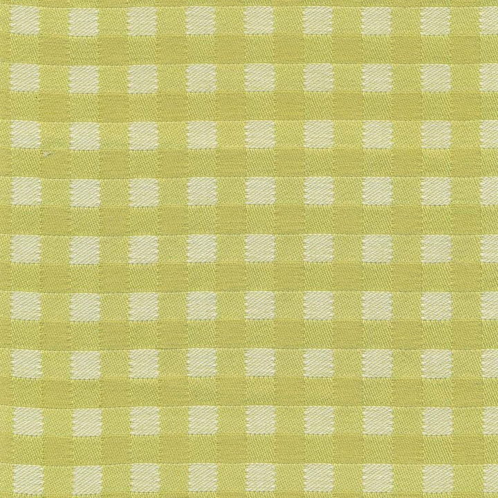 Picnic Kiwi by Kasmir Fabric 1368 USA 3,000 Wyzenbeek Double Rubs H: 6/8 inches, V:6/8 inches 54 - Fabric Carolina - Kasmir