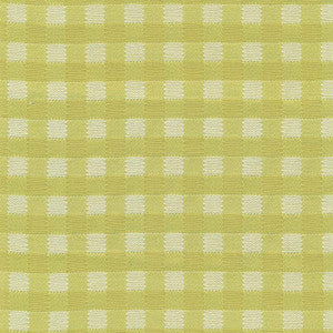 Picnic Kiwi by Kasmir Fabric