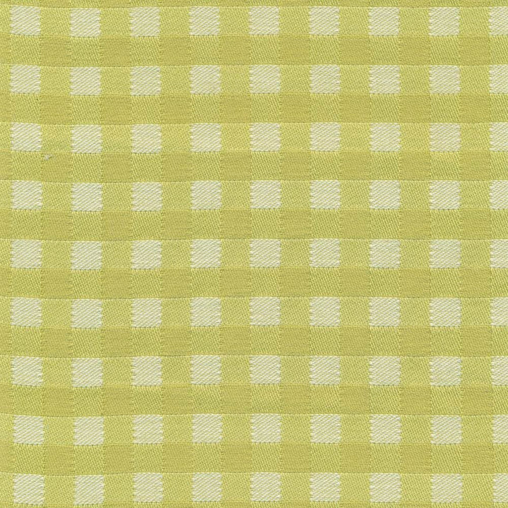 Picnic Kiwi by Kasmir Fabric 1368 100% Cotton USA 3,000 Wyzenbeek Double Rubs Horizontal: 6/8 inches and Vertical: 6/8 inches 54 - Fabric Carolina -