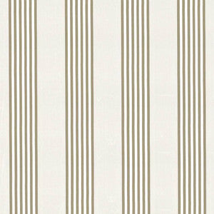 Pierre Stripe Champagne by Kasmir Fabric