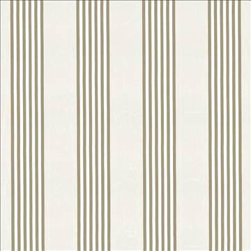 Pierre Stripe Champagne by Kasmir Fabric 8003 100% Polyester INDIA 15,000 Wyzenbeek Double Rubs H: 7 3/8 inches, V: N/A 54 - 55 - Fabric Carolina - Kasmir
