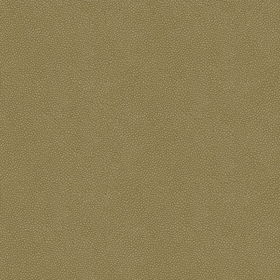 Kravet Design Pietra-11 by Kravet Design Fabric