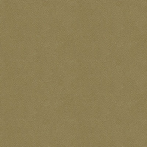 Kravet Design Pietra-11 by Kravet Design Fabric