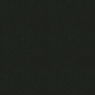 Kravet Design Pietra-21 by Kravet Design Fabric