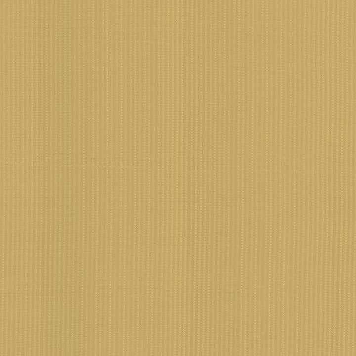 Pietra Stripe Antique Gold by Kasmir Fabric 5093 TAIWAN 36,000 Wyzenbeek Double Rubs H: 2/8 inches, V:N/A 56 - 58 - Fabric Carolina - Kasmir