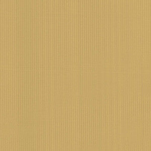 Pietra Stripe Antique Gold by Kasmir Fabric