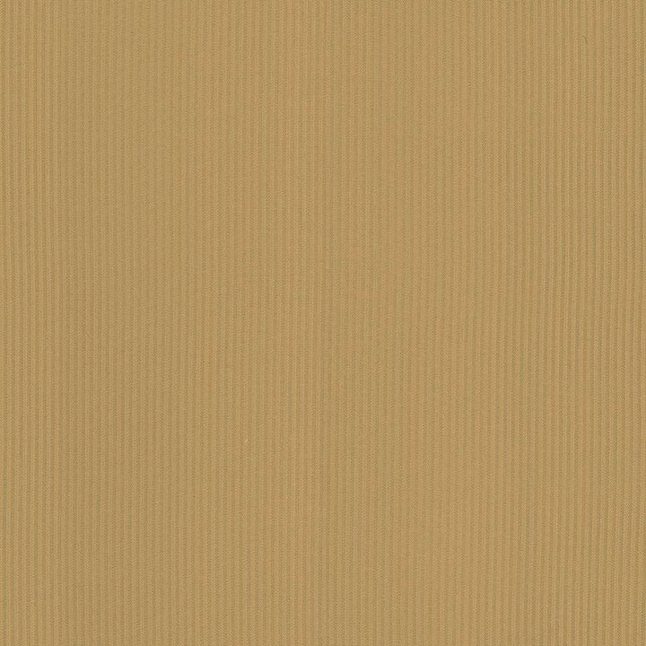 Pietra Stripe Bronze by Kasmir Fabric 5093 TAIWAN 36,000 Wyzenbeek Double Rubs H: 2/8 inches, V:N/A 56 - 58 - Fabric Carolina - Kasmir