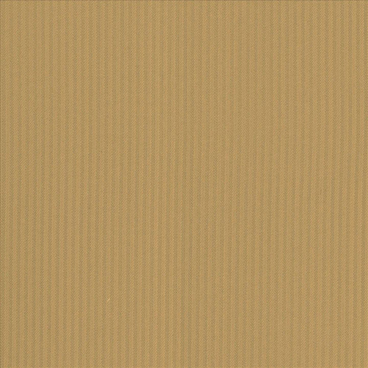 Pietra Stripe Bronze by Kasmir Fabric 5093 100% Polyester
 TAIWAN </p><p>Repeat: Horizontal: 2/8 inches and Vertical: N/A 56 - 58 - Fabric Carolina -