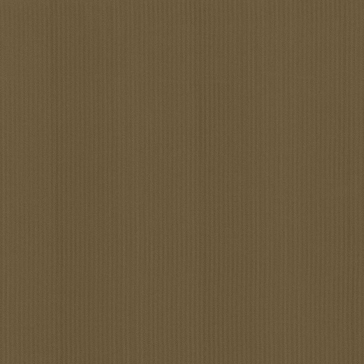 Pietra Stripe Coffee by Kasmir Fabric 5093 TAIWAN 36,000 Wyzenbeek Double Rubs H: 2/8 inches, V:N/A 56 - 58 - Fabric Carolina - Kasmir