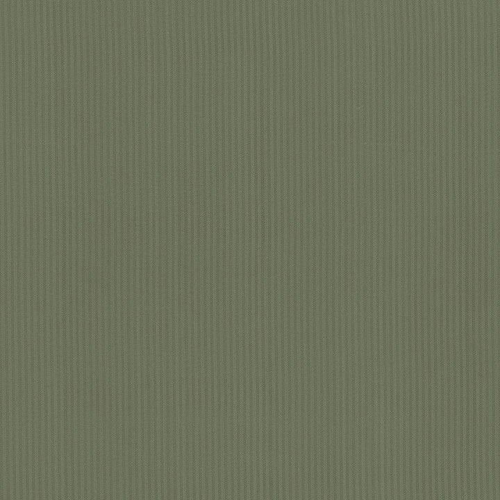 Pietra Stripe Pine by Kasmir Fabric 5099 TAIWAN 36,000 Wyzenbeek Double Rubs H: 2/8 inches, V:N/A 56 - 58 - Fabric Carolina - Kasmir