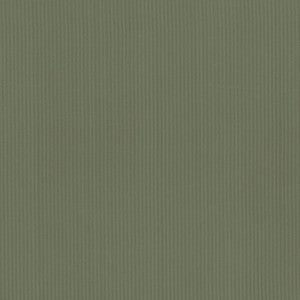 Pietra Stripe Pine by Kasmir Fabric