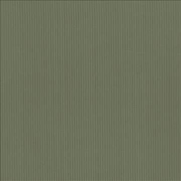 Pietra Stripe Pine by Kasmir Fabric 5099 100% Polyester TAIWAN 36,000 Wyzenbeek Double Rubs H: 2/8 inches, V: N/A 56 - 58 - Fabric Carolina - Kasmir
