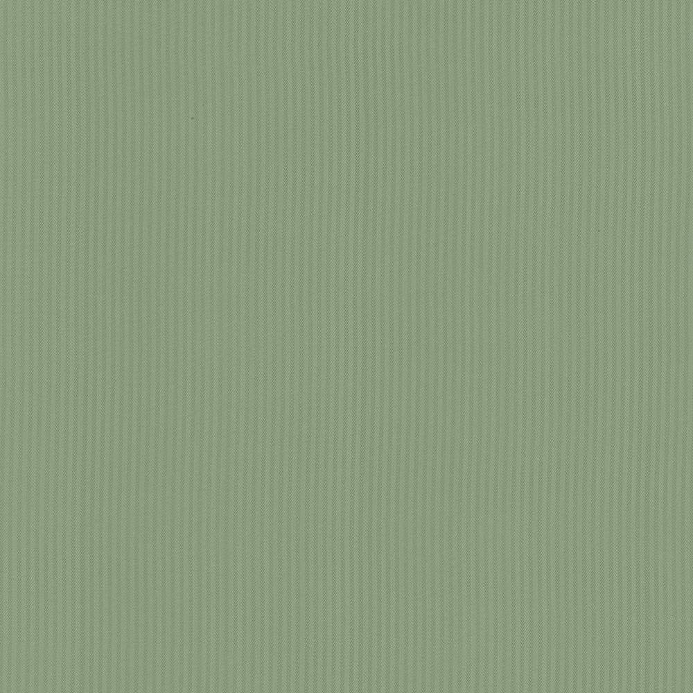 Pietra Stripe Sage by Kasmir Fabric 5099 TAIWAN 36,000 Wyzenbeek Double Rubs H: 2/8 inches, V:N/A 56 - 58 - Fabric Carolina - Kasmir