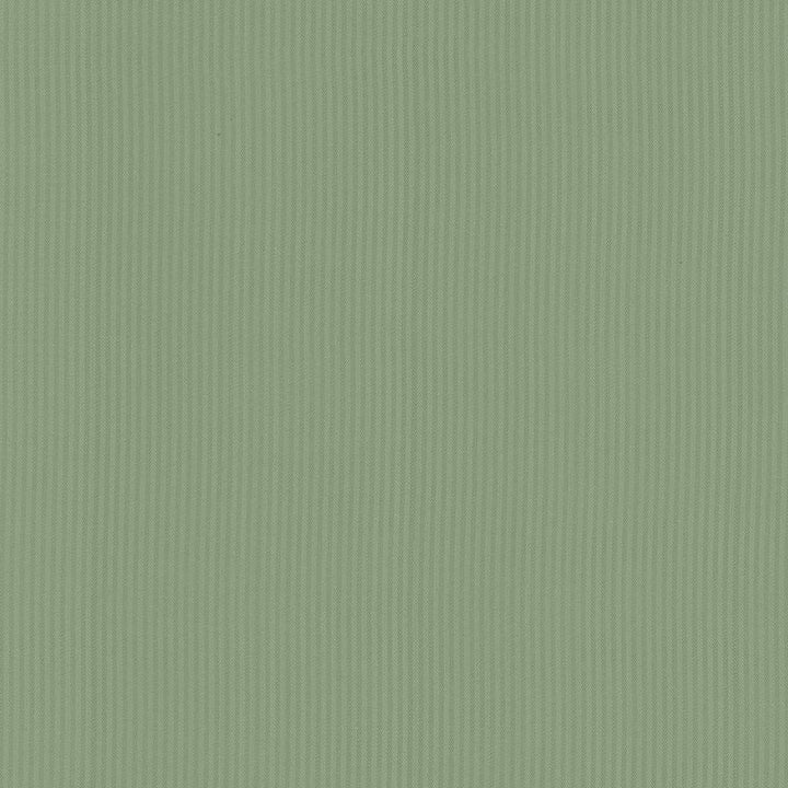 Pietra Stripe Sage by Kasmir Fabric 5099 TAIWAN 36,000 Wyzenbeek Double Rubs H: 2/8 inches, V:N/A 56 - 58 - Fabric Carolina - Kasmir