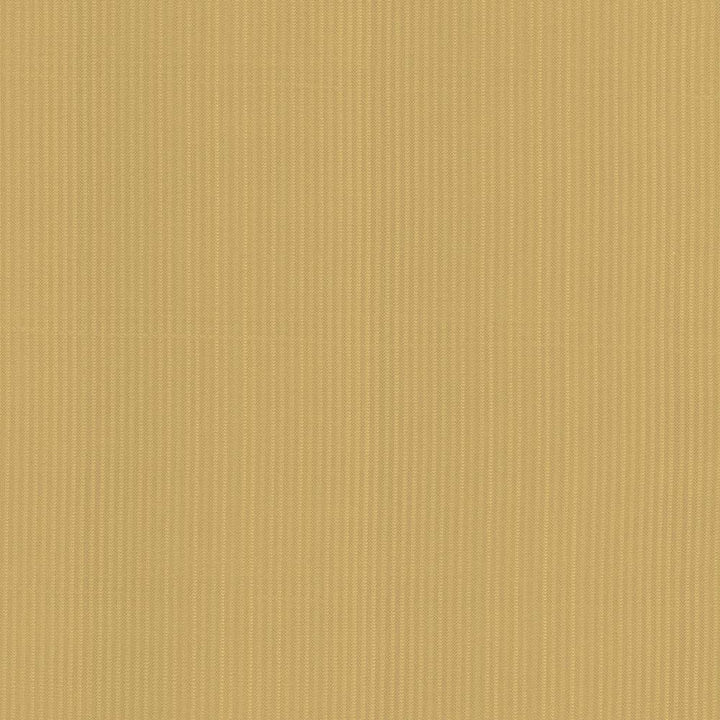 Pietra Stripe Antique Gold by Kasmir Fabric 5093 100% Polyester
 TAIWAN </p><p>Repeat: Horizontal: 2/8 inches and Vertical: N/A 56 - 58 - Fabric Carolina -
