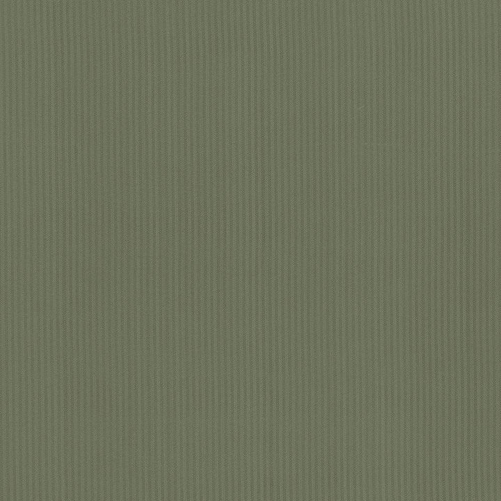 Pietra Stripe Pine by Kasmir Fabric 5099 100% Polyester
 TAIWAN </p><p>Repeat: Horizontal: 2/8 inches and Vertical: N/A 56 - 58 - Fabric Carolina -