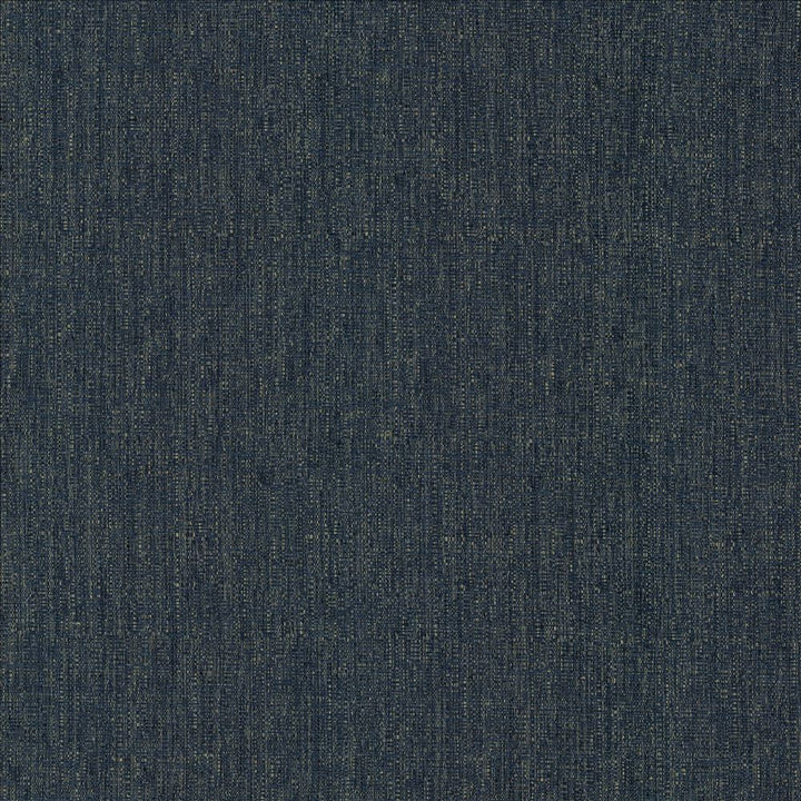 Pilot Harbor by Kasmir Fabric 5159 100% Polyester CHINA 50,000 Wyzenbeek Double Rubs Horizontal: 0 Inches and Vertical: 0 Inches 54 - Fabric Carolina -