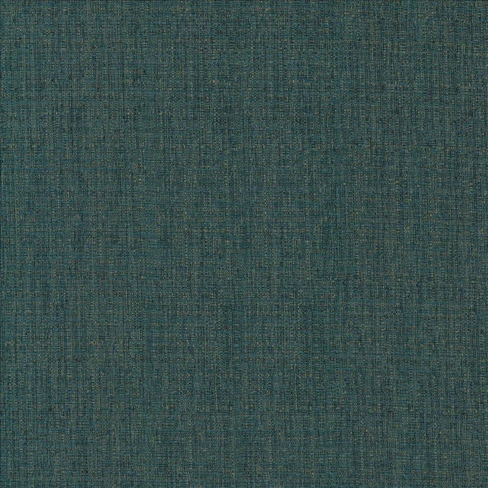 Pilot Pacific by Kasmir Fabric 5159 100% Polyester
 CHINA 50,000 Wyzenbeek Double Rubs Horizontal: N/A and Vertical: N/A 54 - Fabric Carolina -