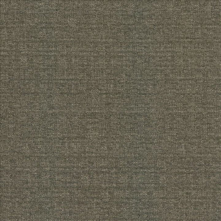 Pilot Slate by Kasmir Fabric 5159 100% Polyester
 CHINA 50,000 Wyzenbeek Double Rubs Horizontal: N/A and Vertical: N/A 54 - Fabric Carolina -