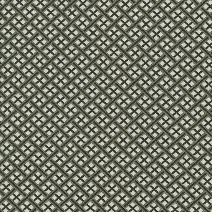 Pinebrook Graphite by Kasmir Fabric 1438 100% Polyester
 CHINA </p><p>Repeat: Horizontal: 1 inches and Vertical: 1 inches 56 - Fabric Carolina -