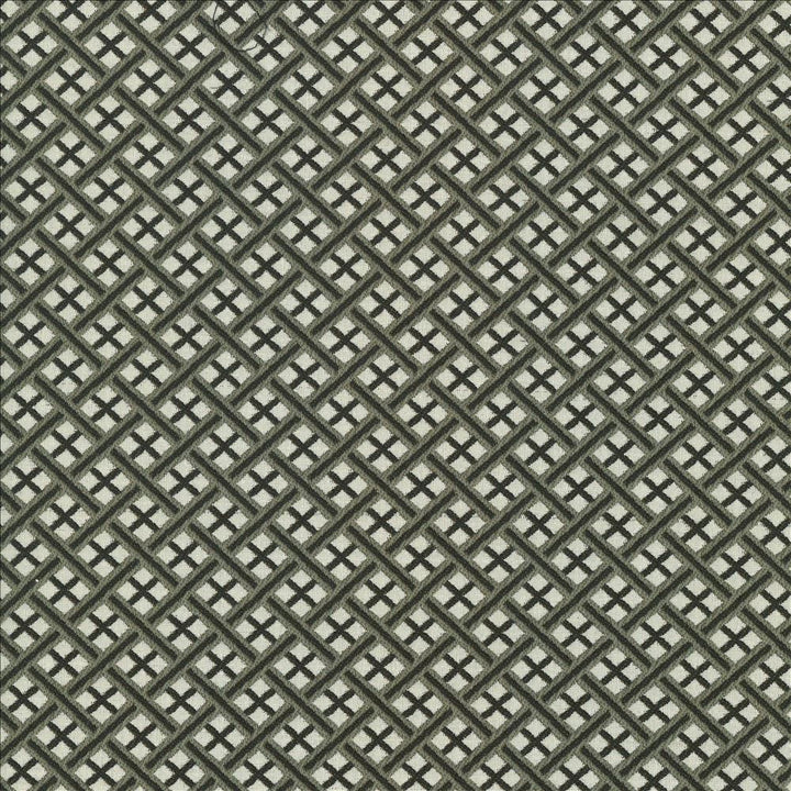 Pinebrook Graphite by Kasmir Fabric 1438 100% Polyester
 CHINA </p><p>Repeat: Horizontal: 1 inches and Vertical: 1 inches 56 - Fabric Carolina -