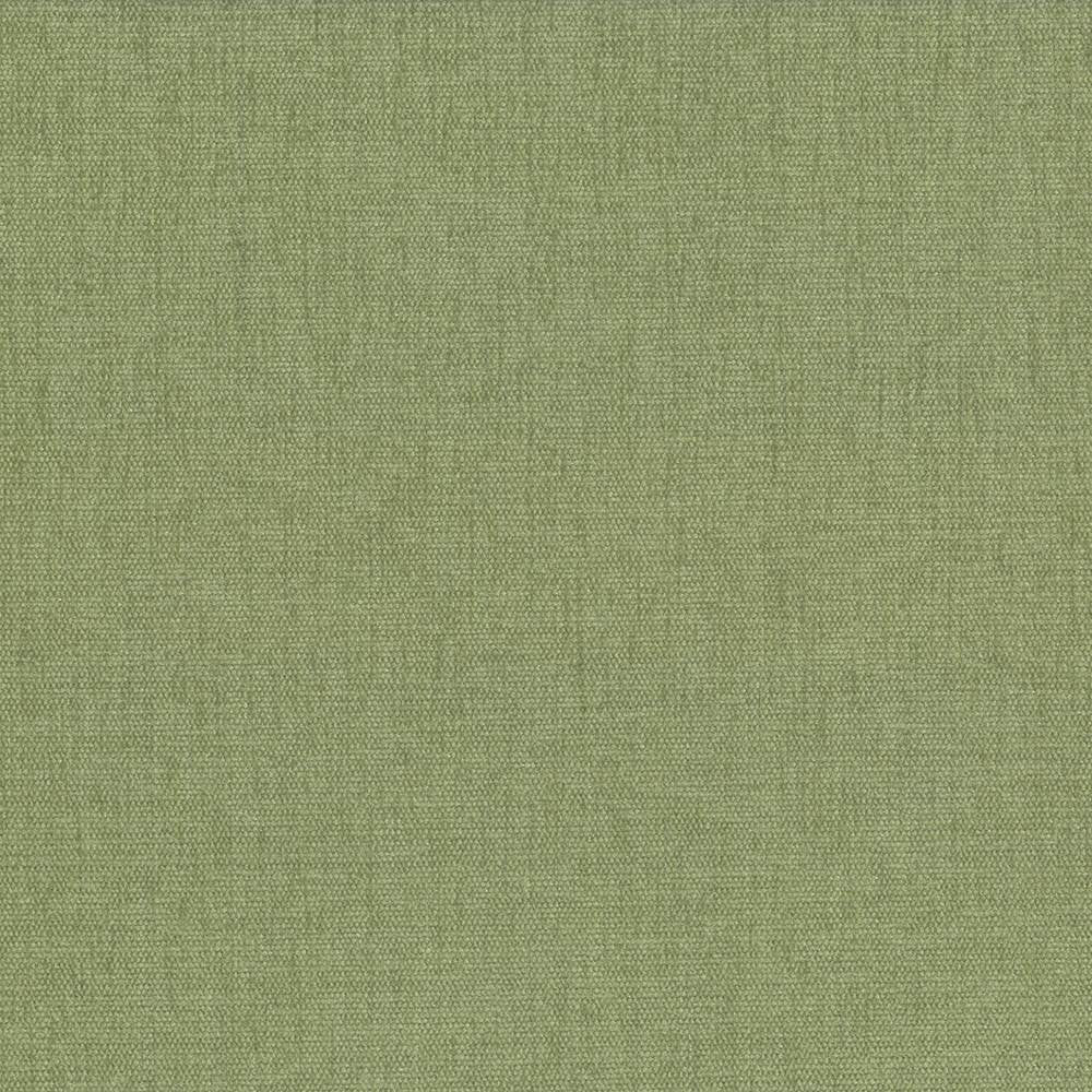 Pinnacle Aloe by Kasmir Fabric 1353 100% Polyester
 INDIA </p><p>Repeat: Horizontal: N/A and Vertical: N/A 54 - 55 - Fabric Carolina -