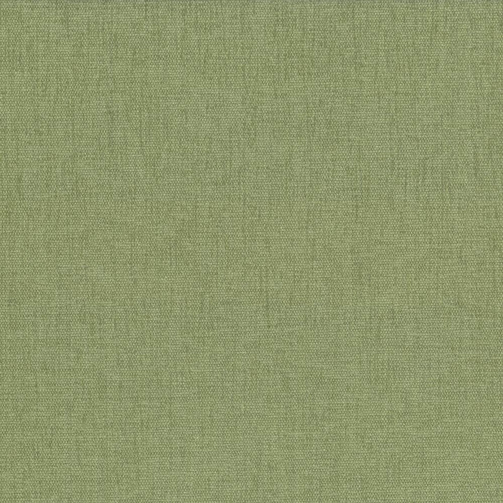 Pinnacle Aloe by Kasmir Fabric 1353 100% Polyester
 INDIA </p><p>Repeat: Horizontal: N/A and Vertical: N/A 54 - 55 - Fabric Carolina -